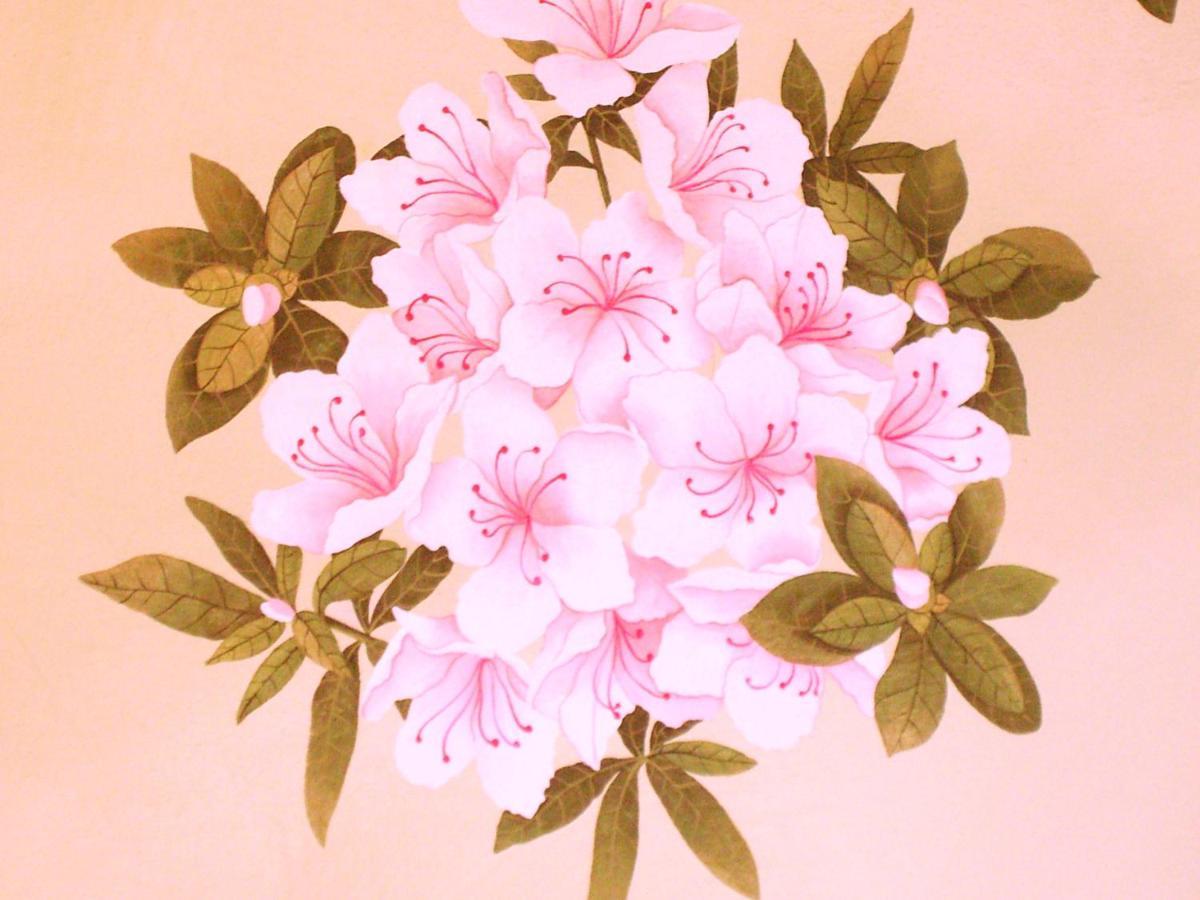 Cadenabbia Charming Glicine And Azalea House Art And Colour With Lakeview מראה חיצוני תמונה
