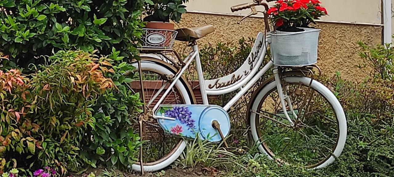 Cadenabbia Charming Glicine And Azalea House Art And Colour With Lakeview מראה חיצוני תמונה