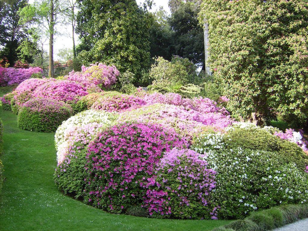 Cadenabbia Charming Glicine And Azalea House Art And Colour With Lakeview חדר תמונה